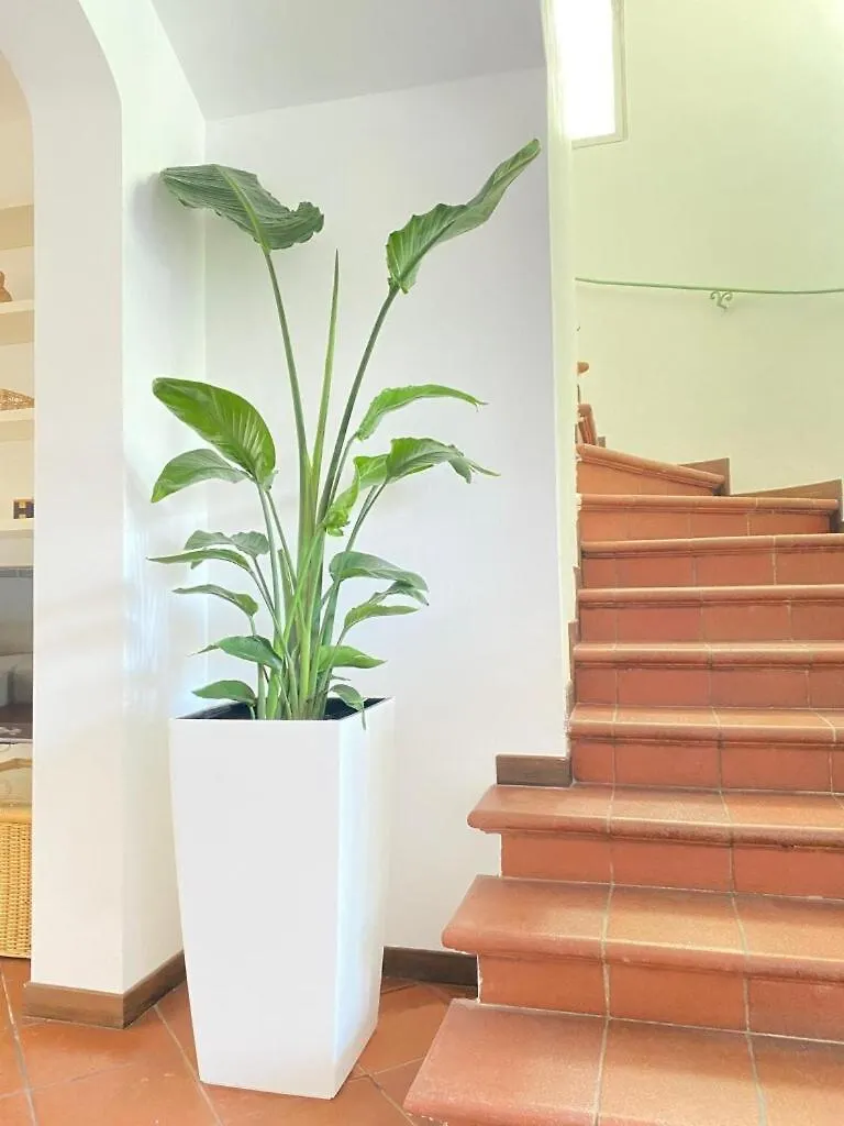 Villa Annie Forte dei Marmi 0*,  Italia